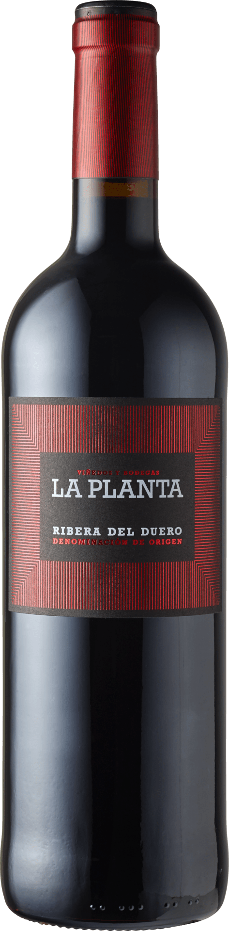 Ribera del Duero D.O. La Planta