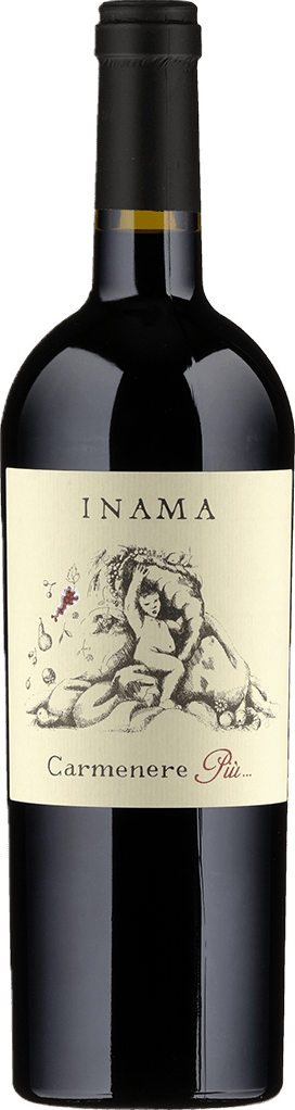Carmenere Più IGT Veneto