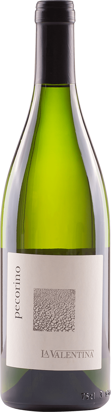 Pecorino IGT Coll. Pescaresi