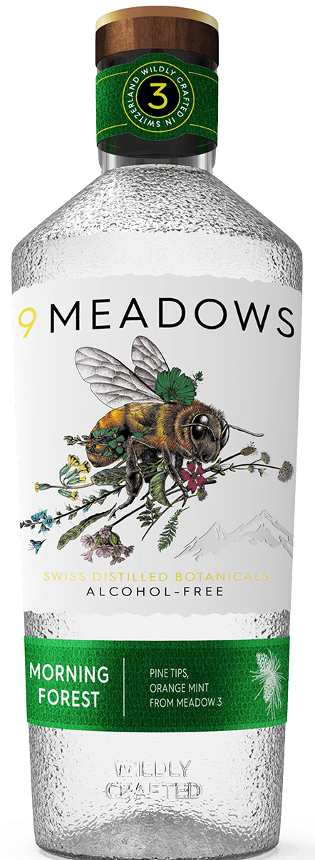 9 MEADOWS Morning Forest