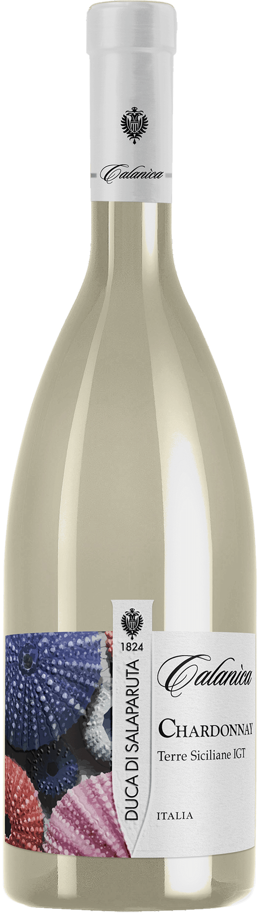 Calanica Chardonnay IGT Terre Siciliane