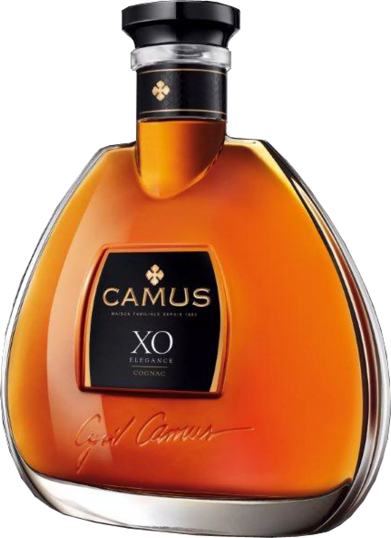 456864_2127007000_camusxoelegance