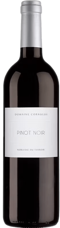 Pinot Noir Octoglaive Terre Calcaire AOC Valais