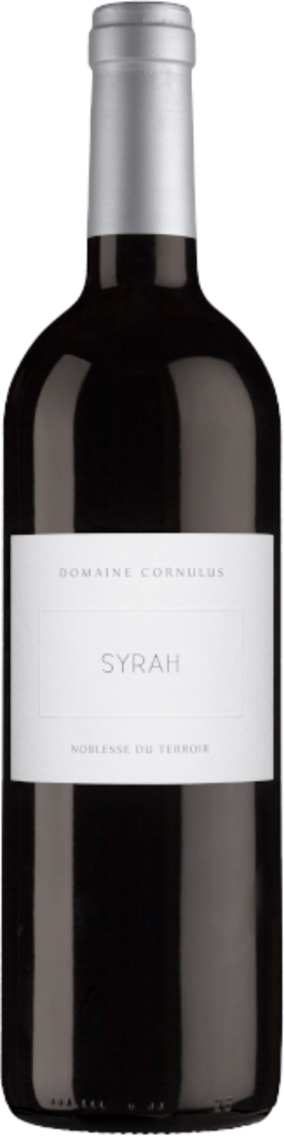 Syrah Octoglaive Terre Calcaire AOC Valais