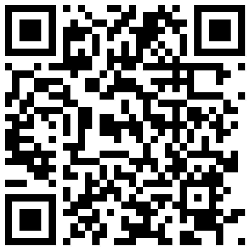 BORN ROSÉ BUBBLES  Bio Vegan