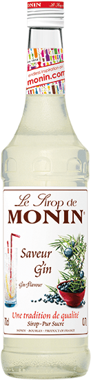 Monin Gin Taste 