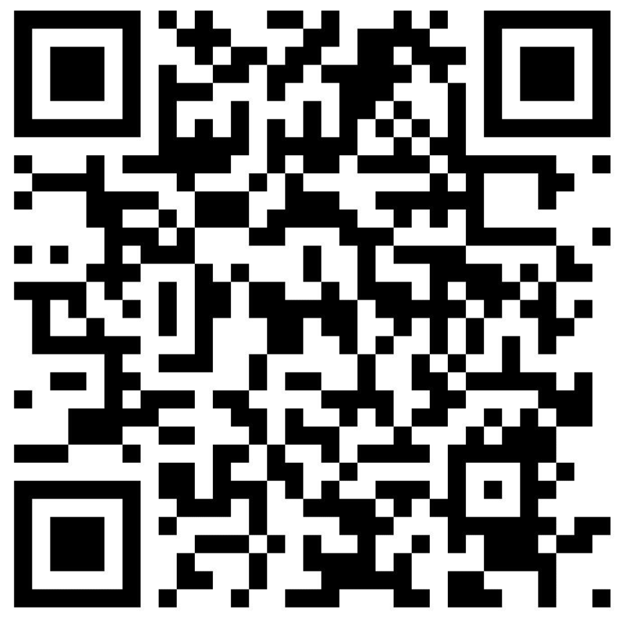 BORN ROSÉ BRUTAL  Bio Vegan