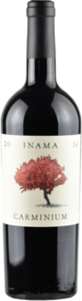 Carminium Carmenere DOC