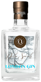 Terreni alla Maggia Delta Spirits Gin 45%  50cl