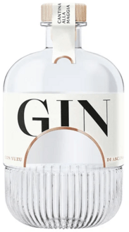 Terreni alla Maggia Delta Spirits Gin 45%  50cl