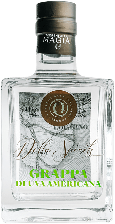 Terreni alla Maggia Grappa Americana 45%