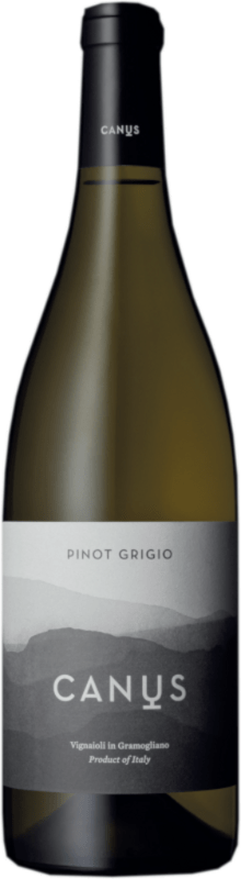 Pinot Grigio DOC Colli Orientali 