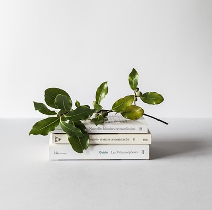 Weiterbildungsmöglichkeiten und Entwicklungschancen